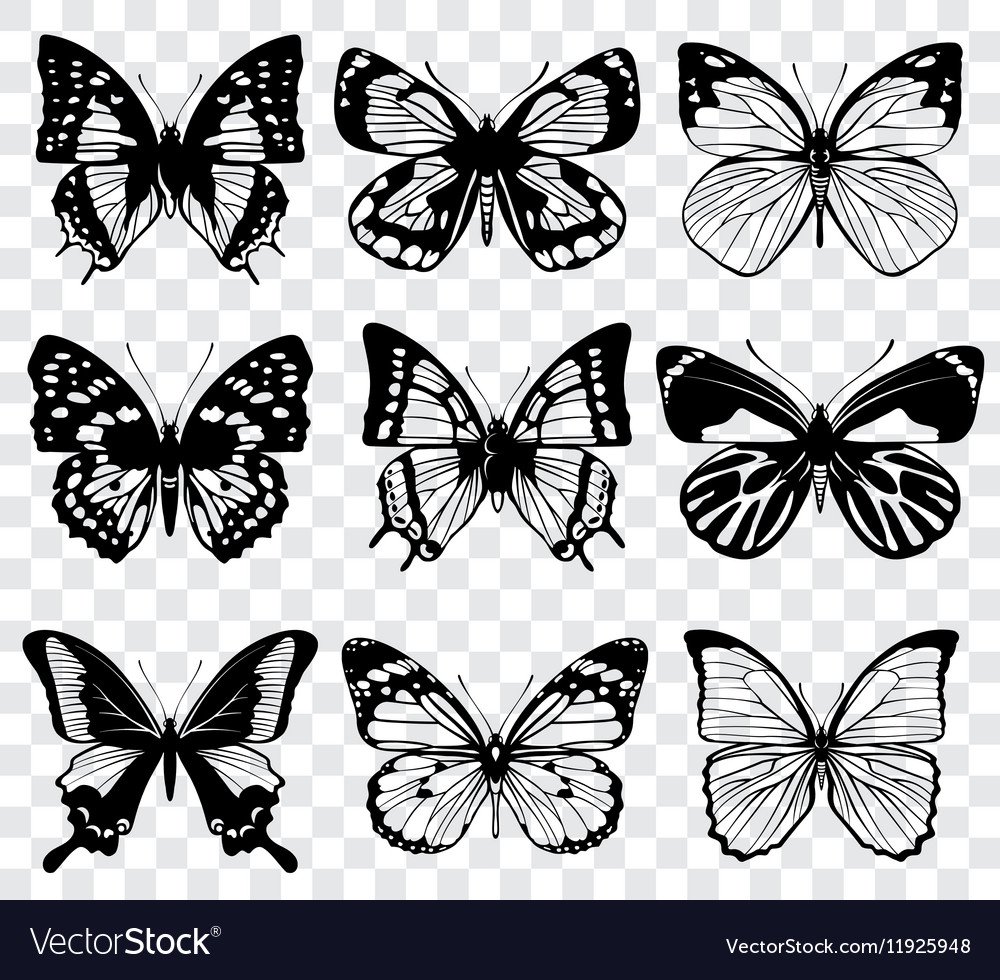 Черно белые бабочки для распечатки