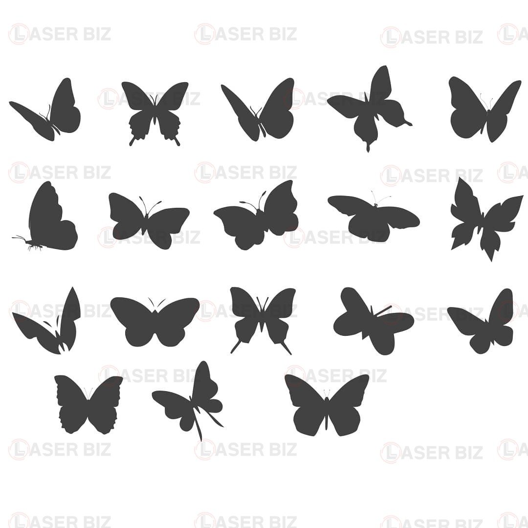 Бабочки разных размеров