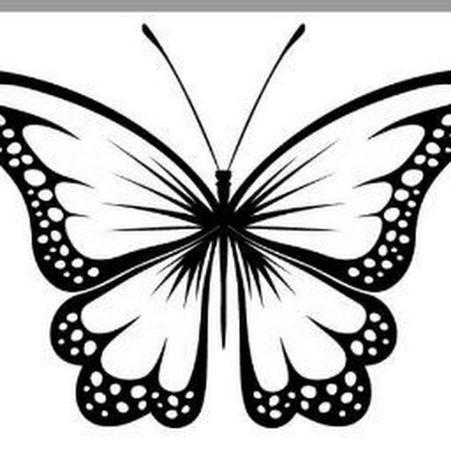 Трафарет бабочки на стену