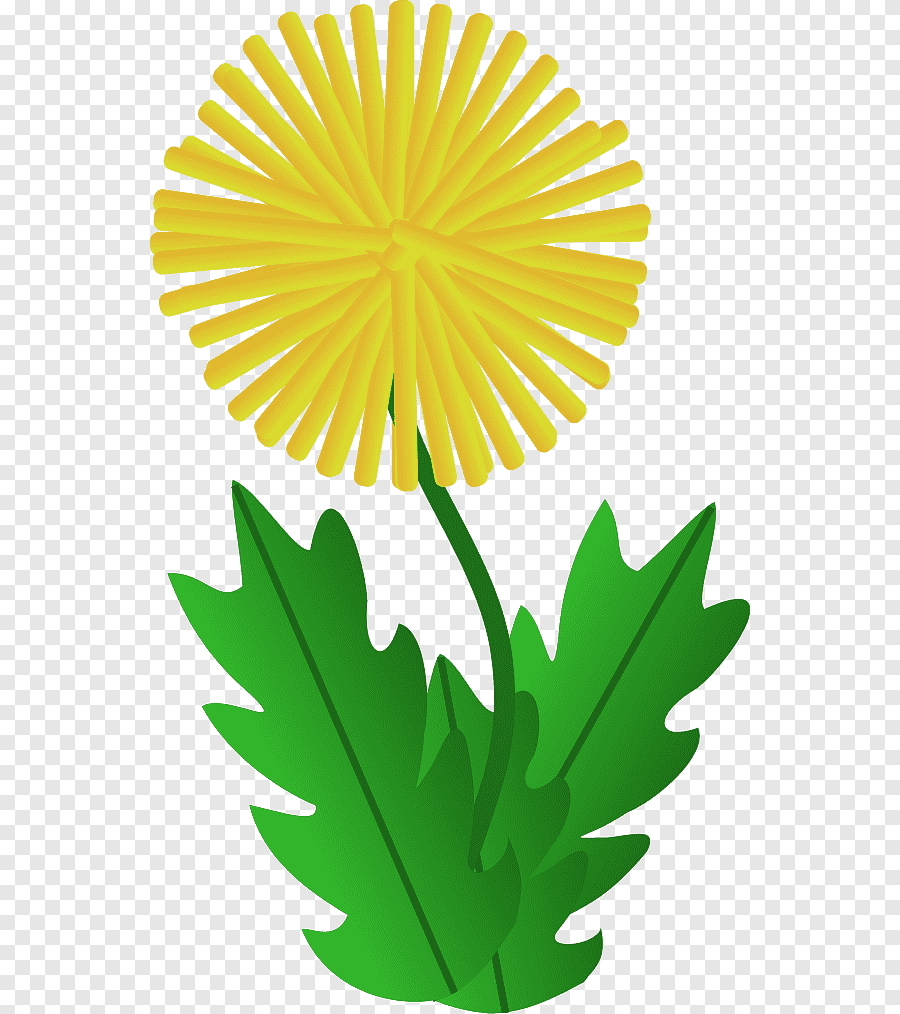 Одуванчик для детей