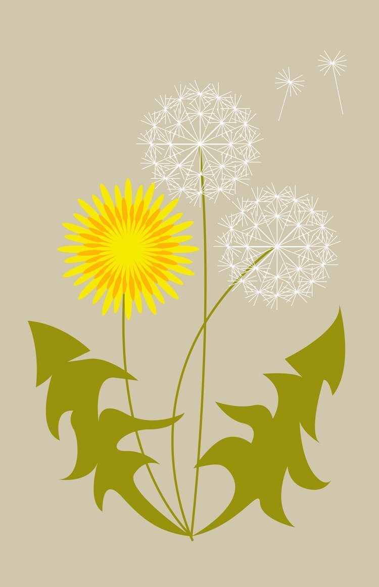 Kak narisovat "одуванчик" (с травами)