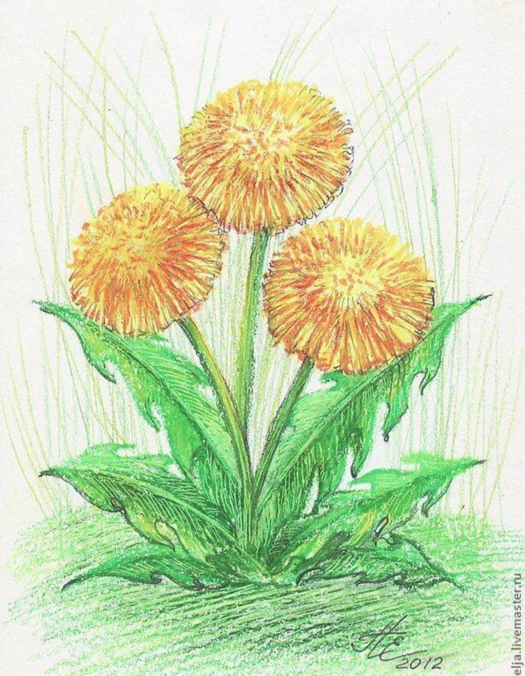 Рисование одуванчик