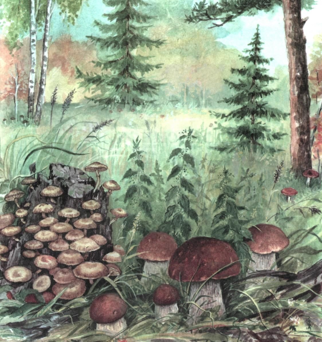 Картина в лес по грибы л.Новоселовой