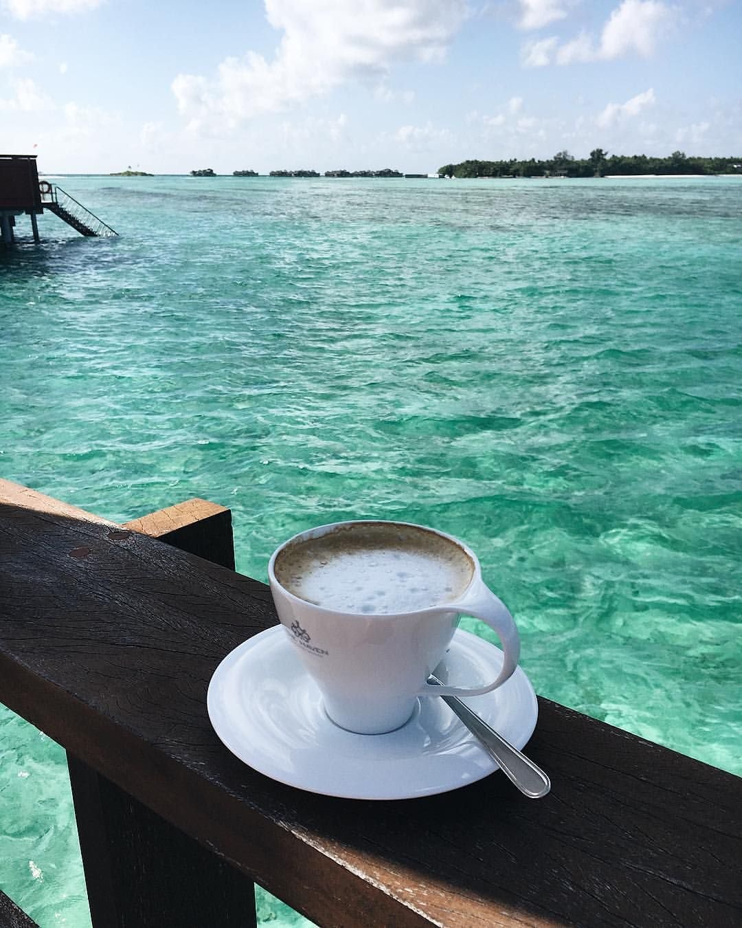 Завтрак на берегу океана