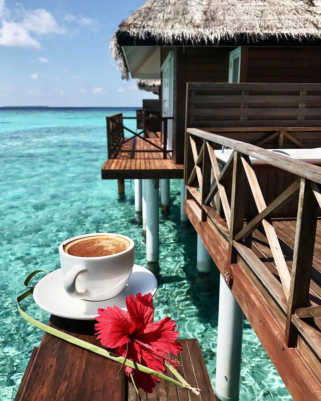 Завтрак у моря