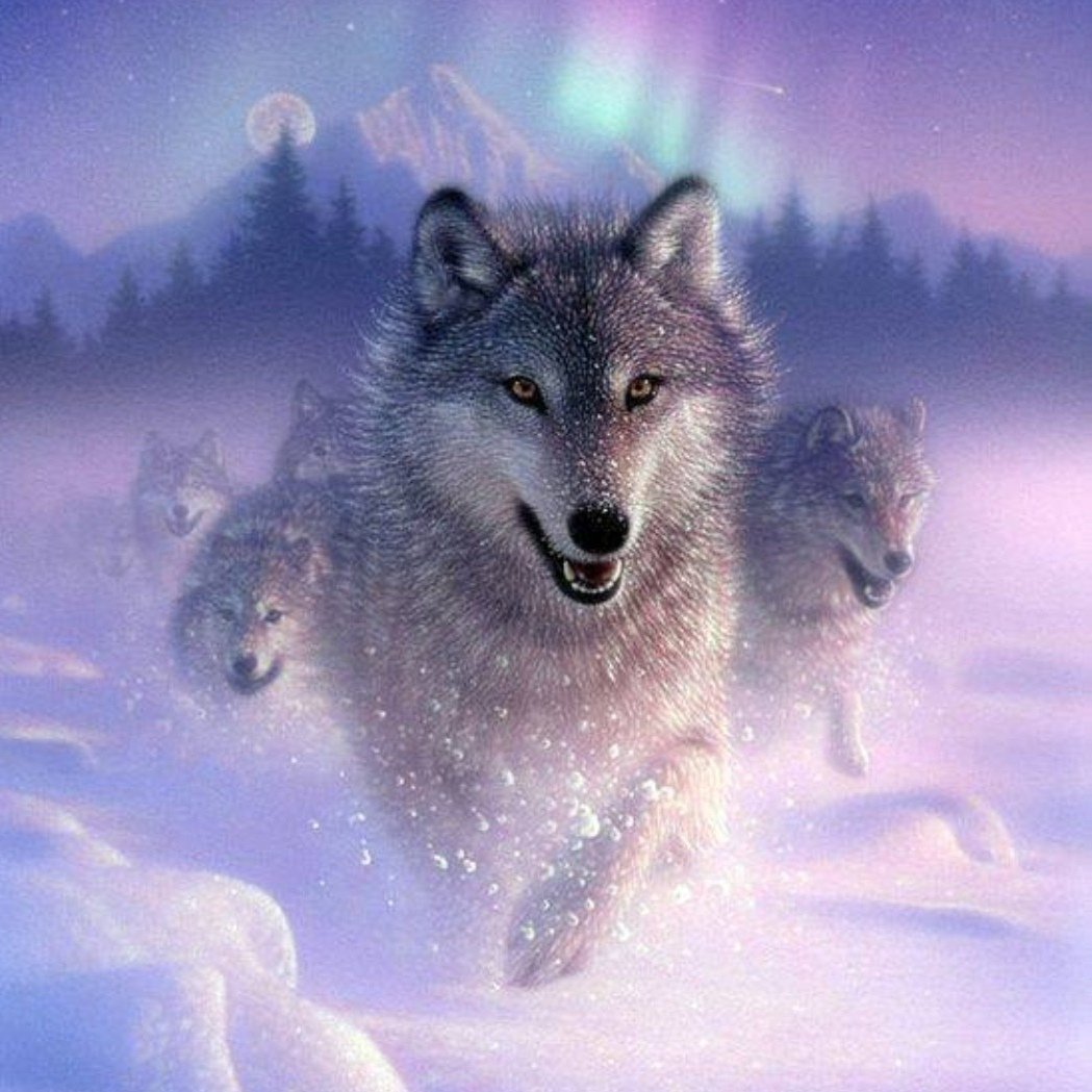 Художник Collin Bogle