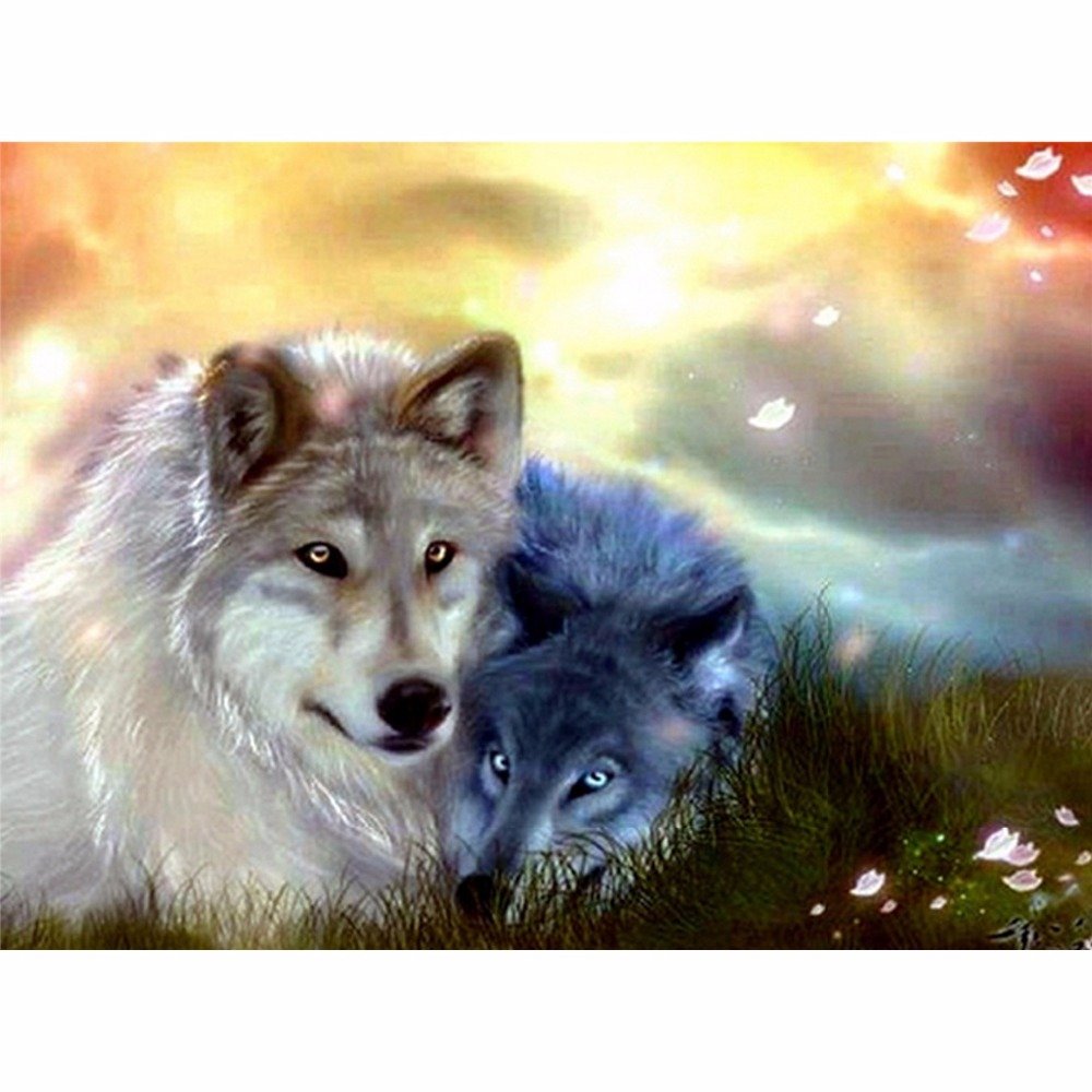 Волк и волчица обои