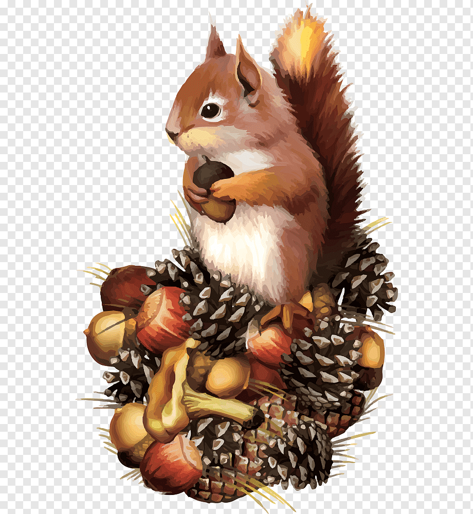 Белка с орехом для детей