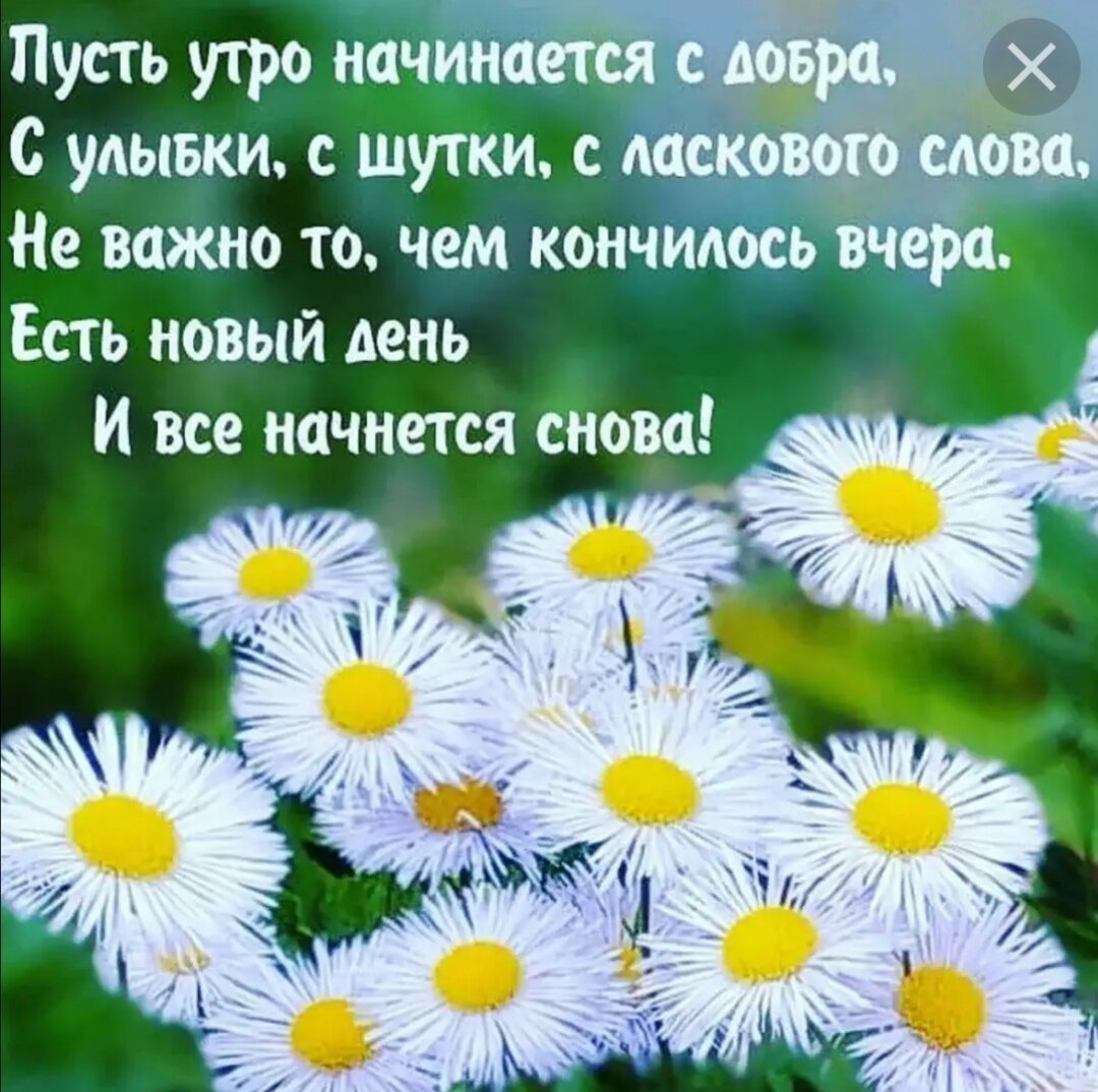 Добрые пожелания