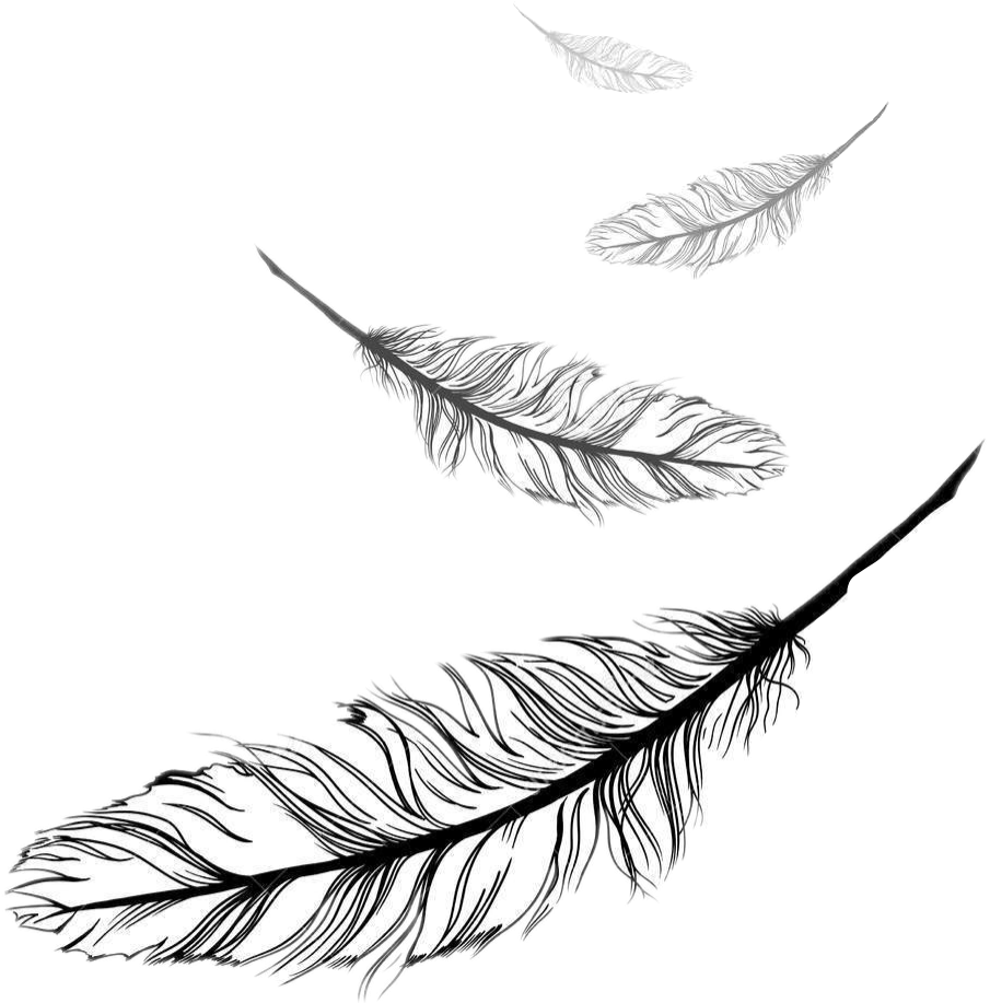 Перья летят