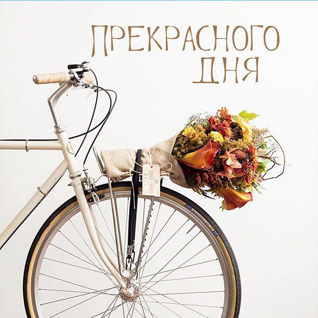 Винтажный велосипед с корзиной