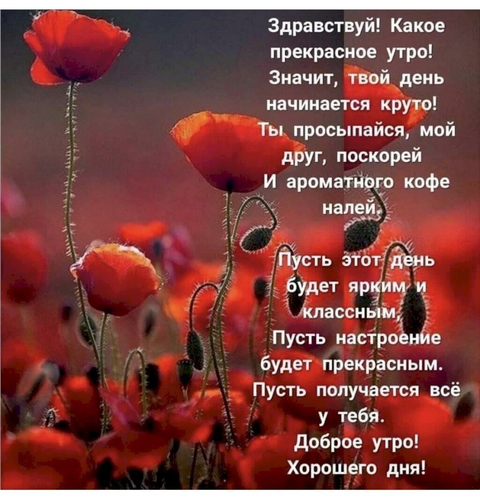 Здравствуй новый день стихи