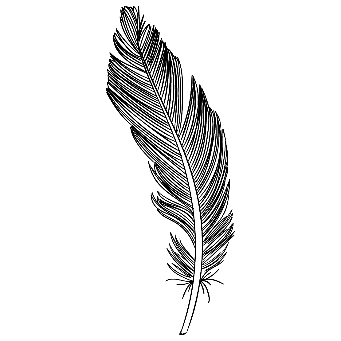 Перо Графика