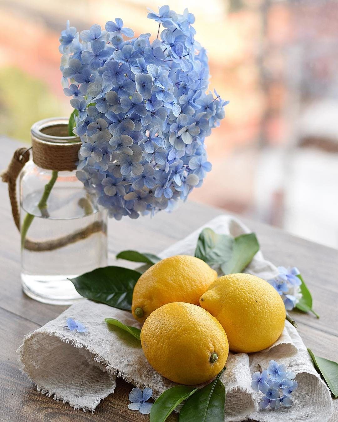 Гортензия с добрым утром