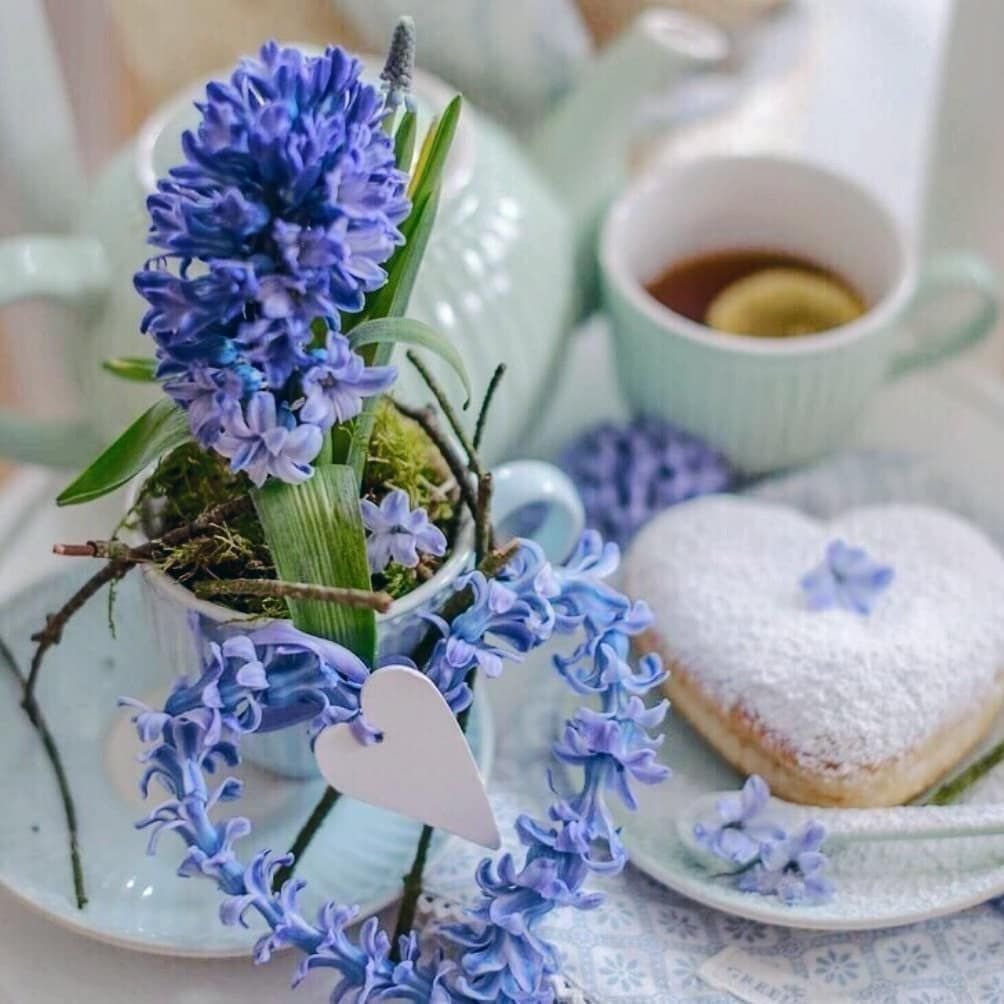 Доброе утро Прованс