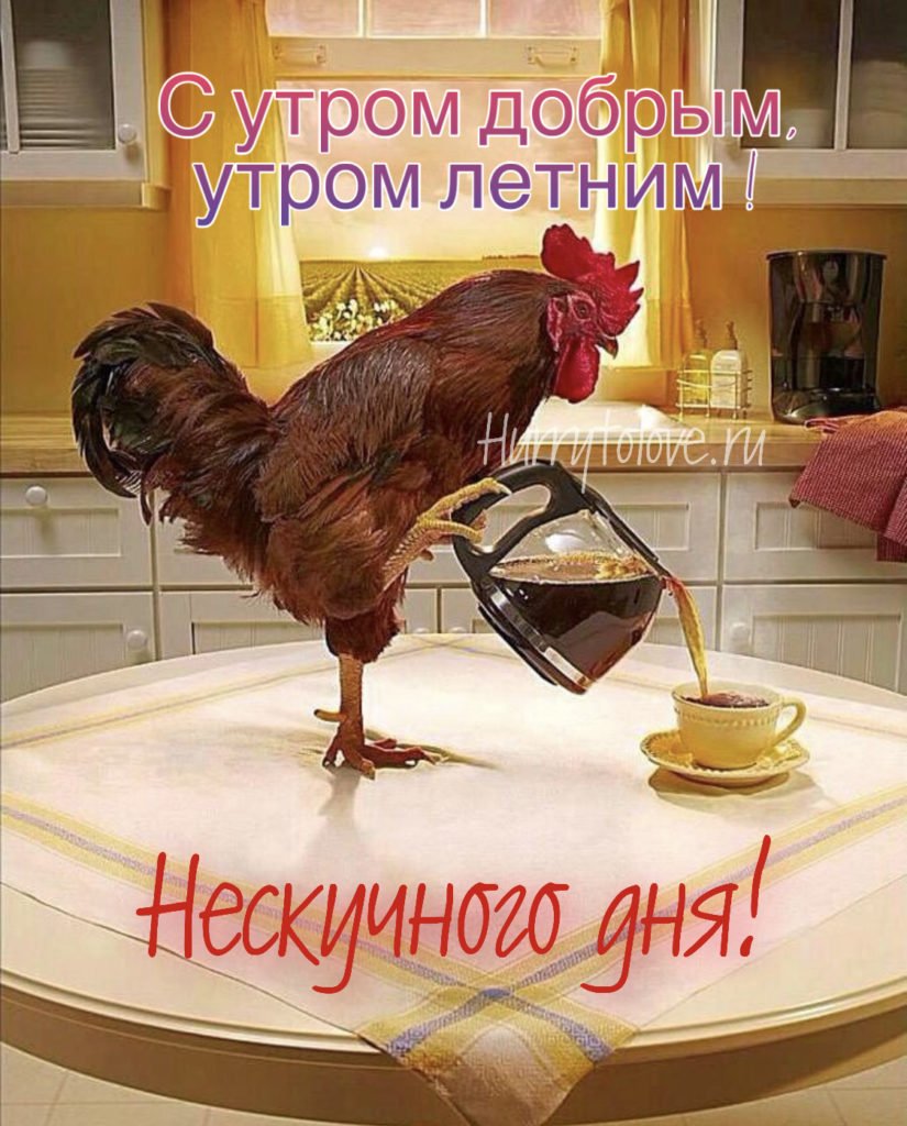 С добрым утром петушок