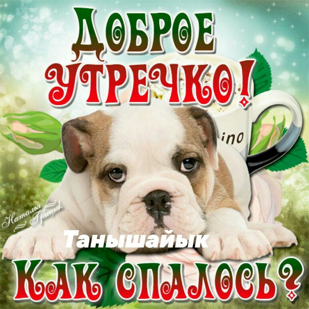 Пожелания с добрым утром с собаками прикольные