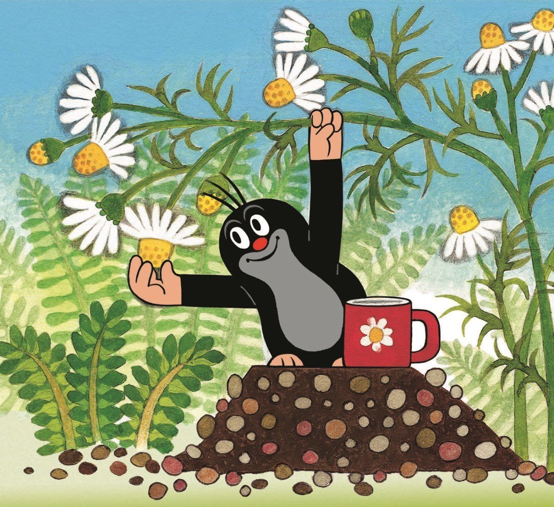 Мультик про крота чешский