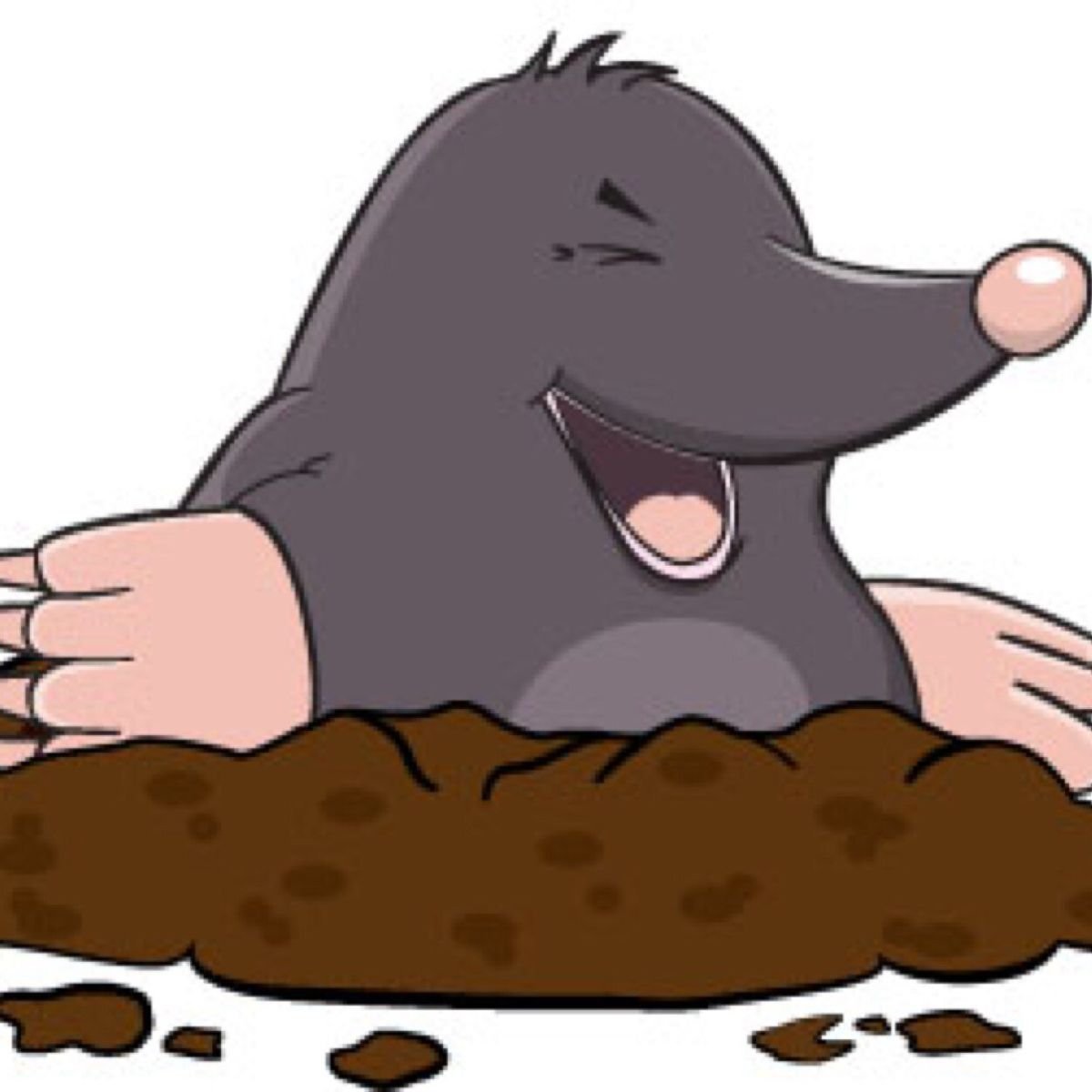 Крот и штанишки