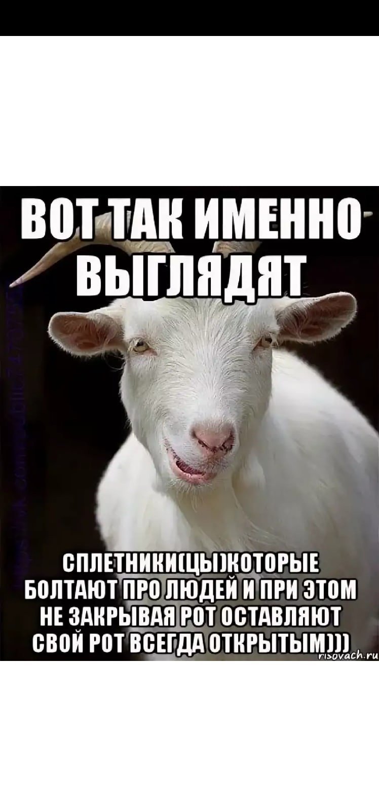 Демотиваторы про мужчин смешные