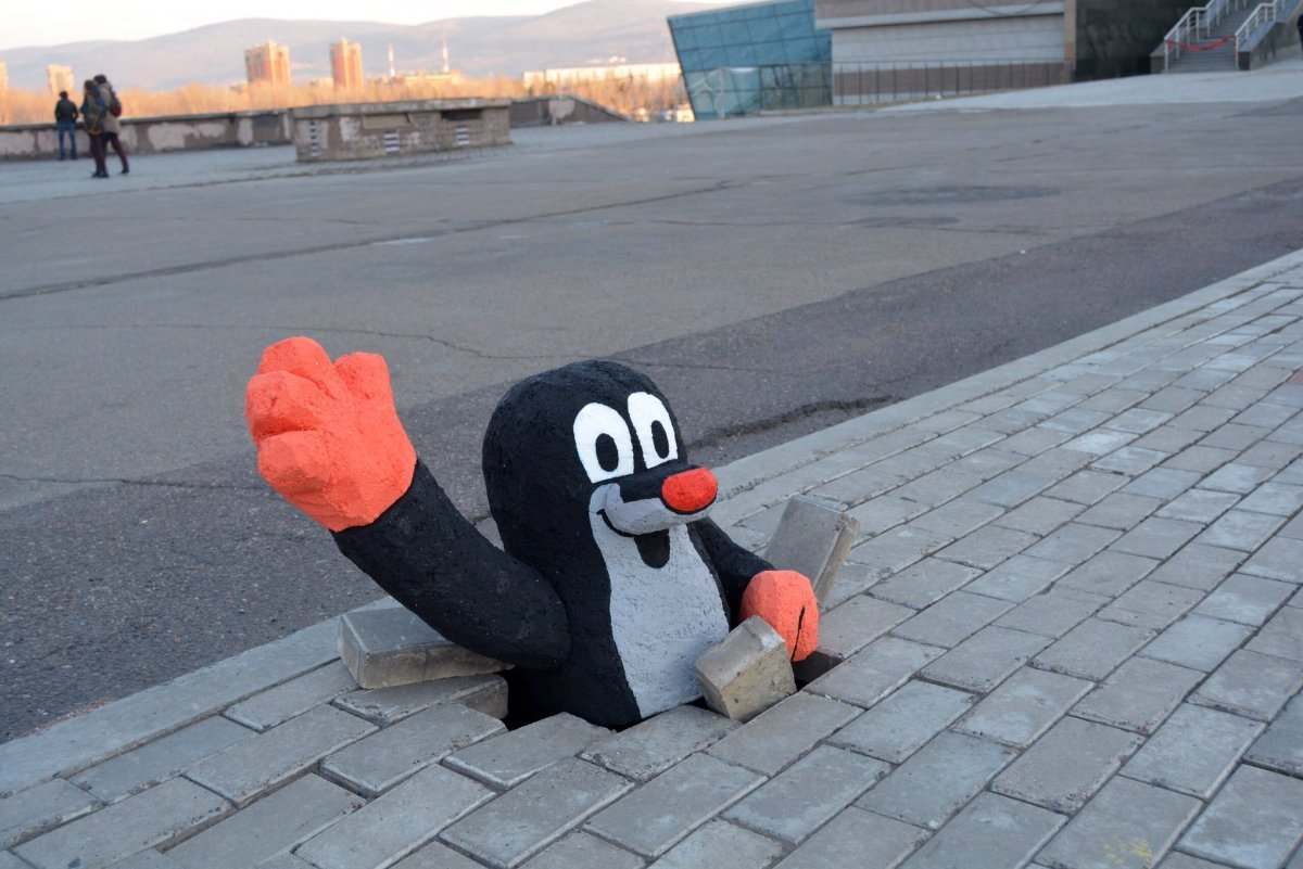 Американский Крот звездонос