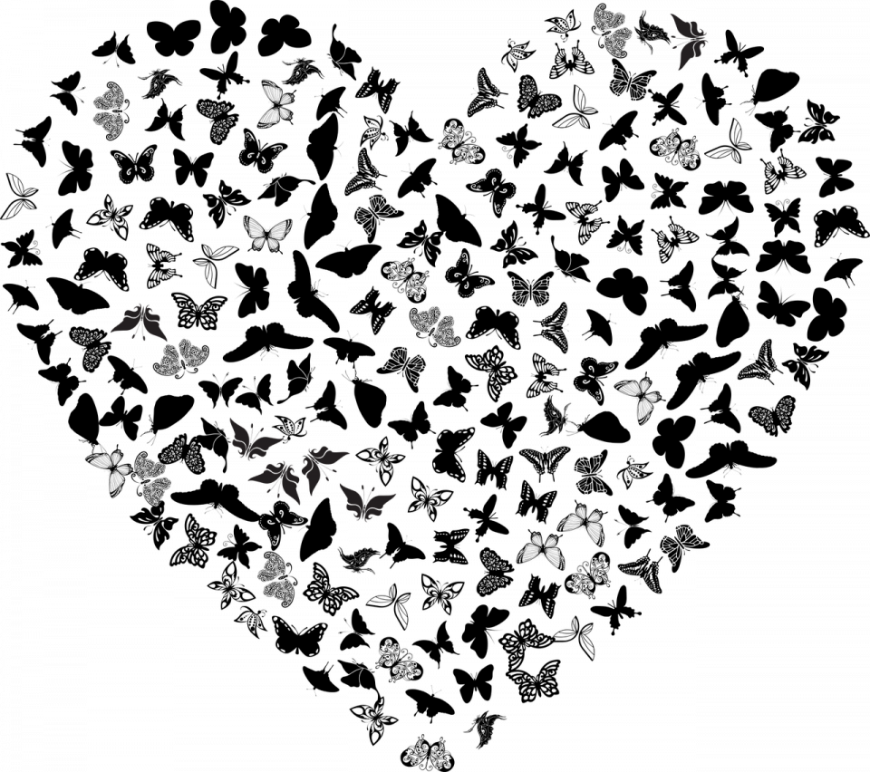 Узор из бабочек