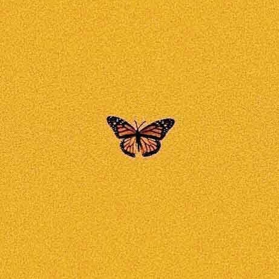 Желтый фон с бабочками