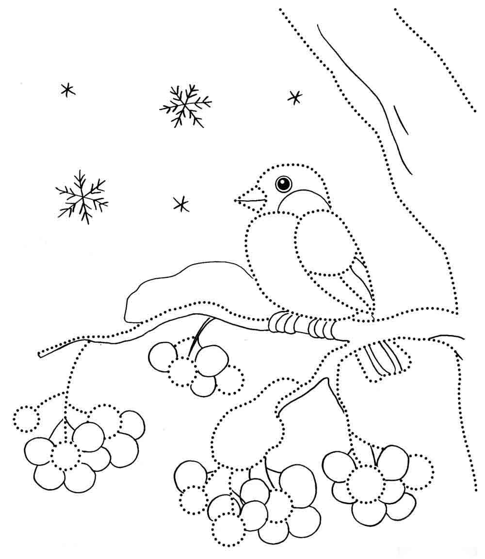 Разукрашка зимующие птицы синица