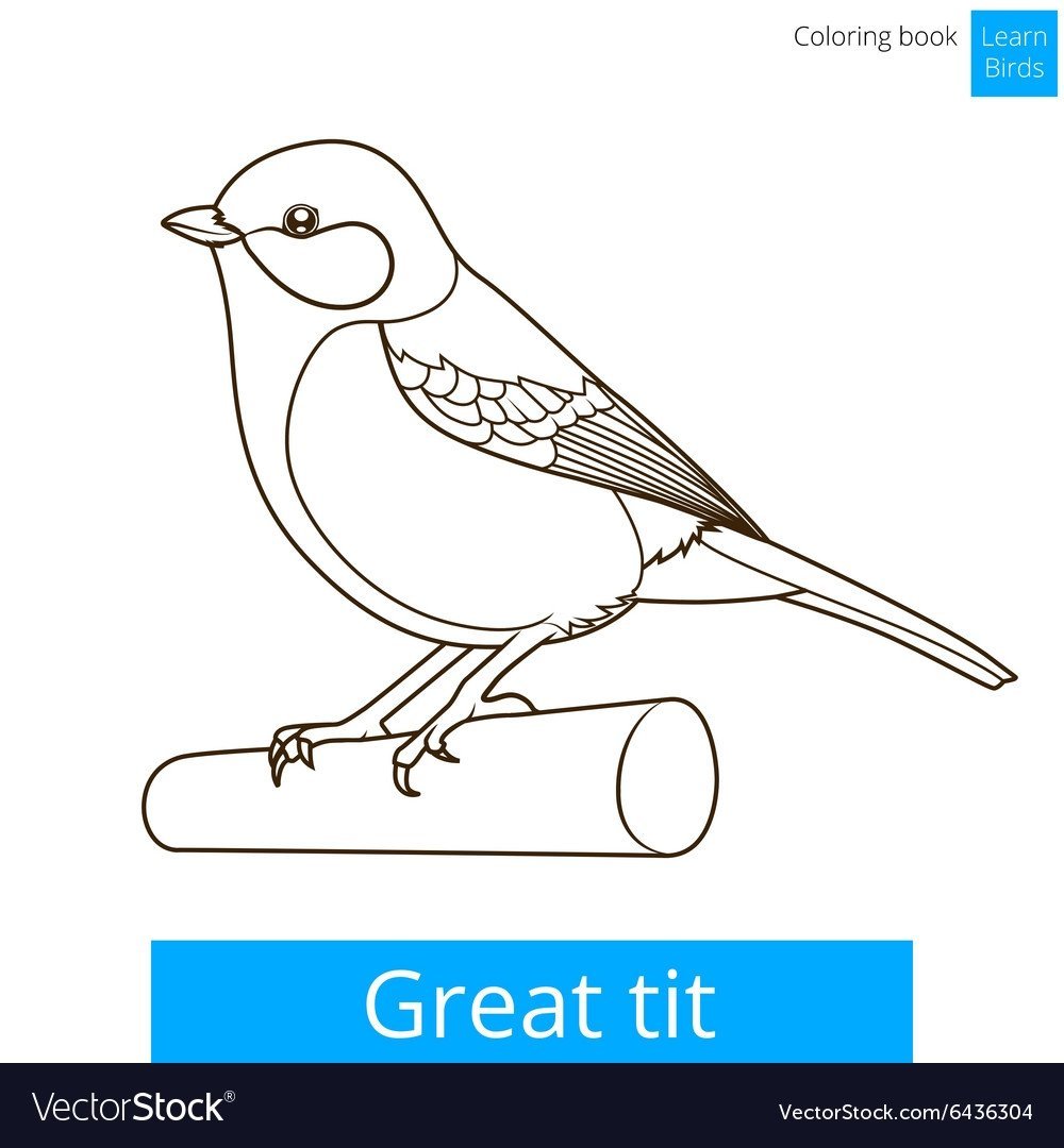 Раскраска синичка и Снегирь для детей