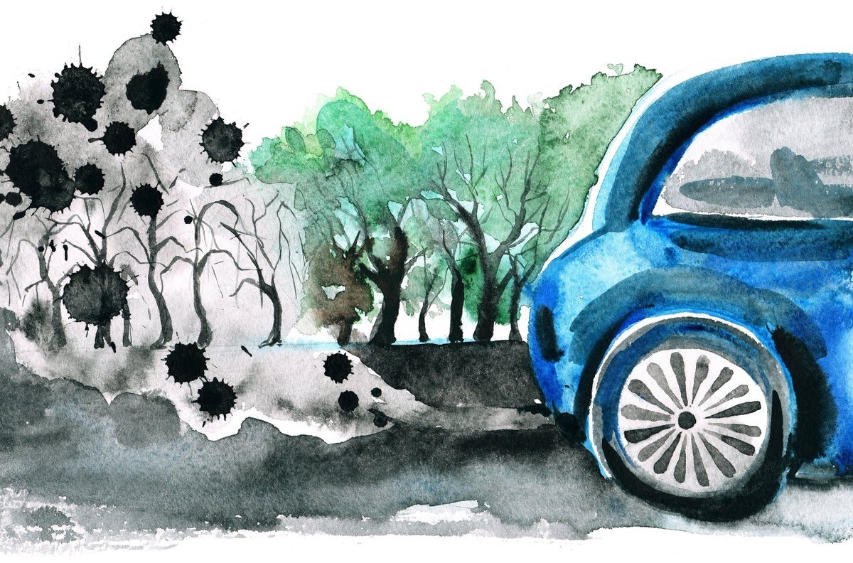 Загрязнение среды автомобилями