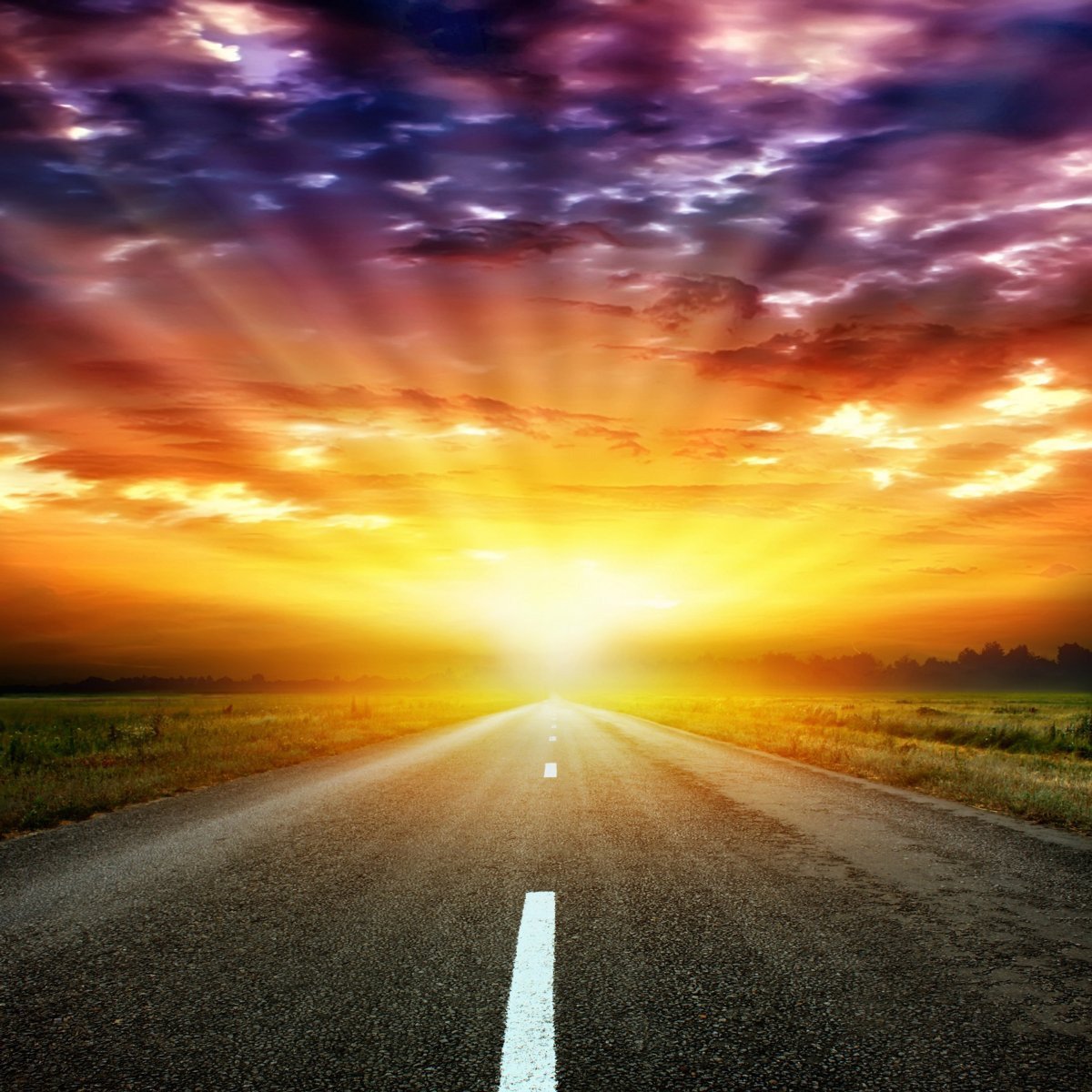 Солнечная дорога