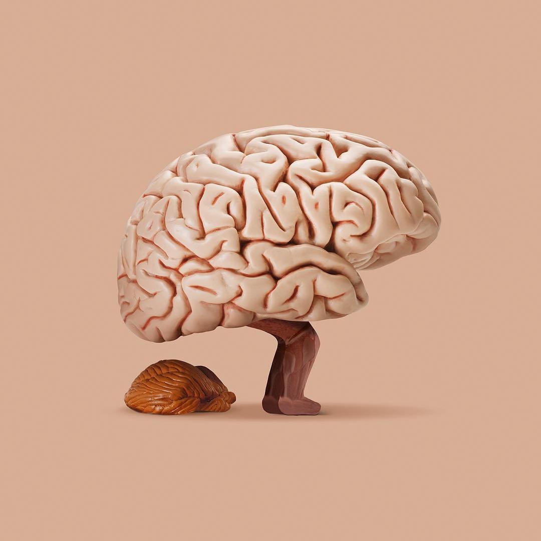 Головной мозг