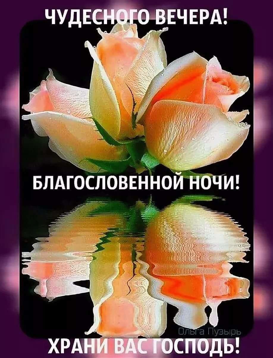 Благодарю Господа за прожитый день