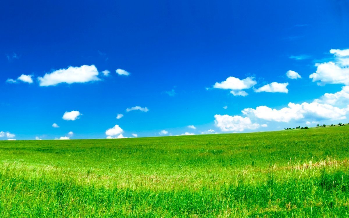 Поле Горизонт