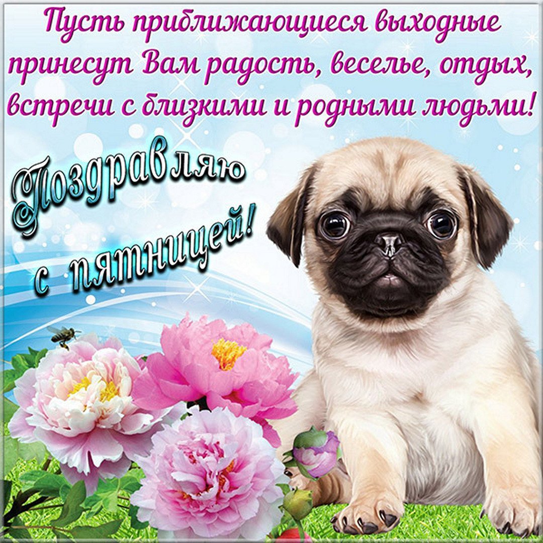 Открытки с добрым утром пятницы