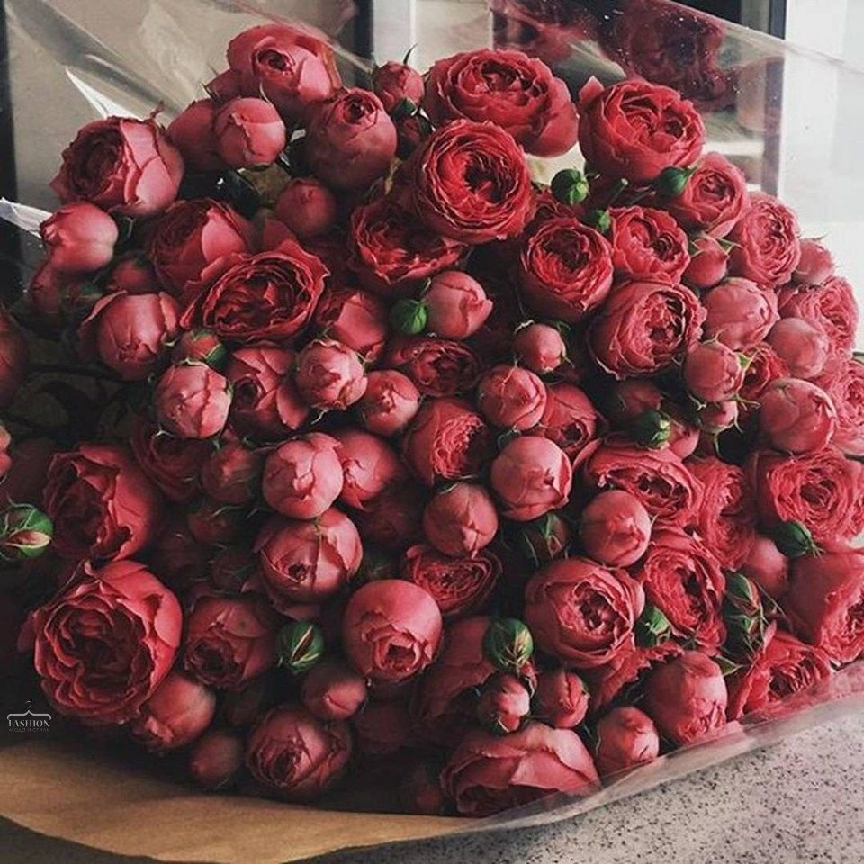 Охапка цветов картинки