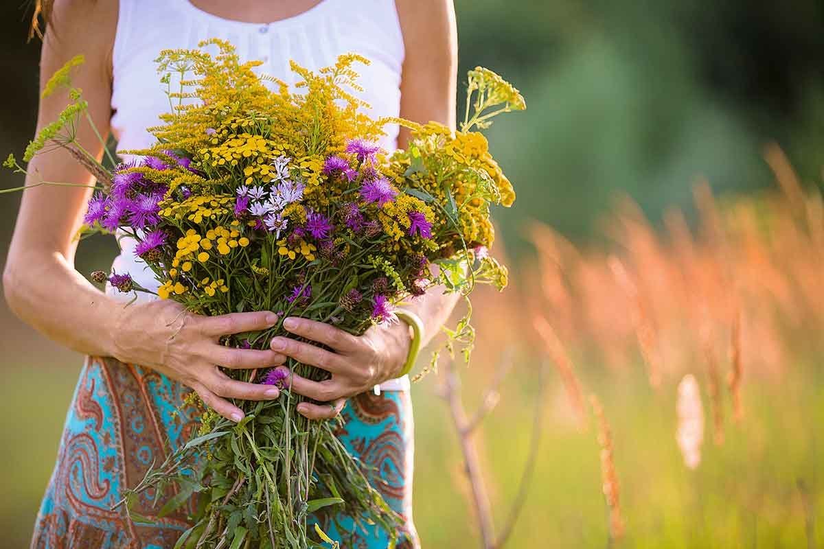 Огромный букет тюльпанов