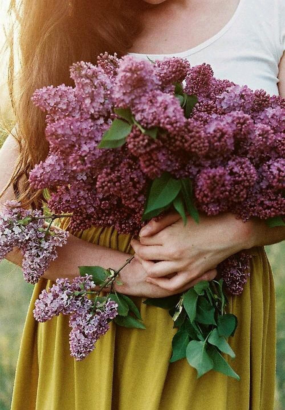 Огромный букет