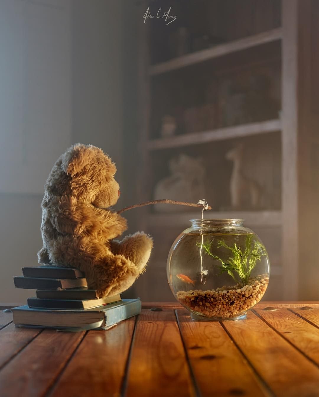 Утренняя мудрость