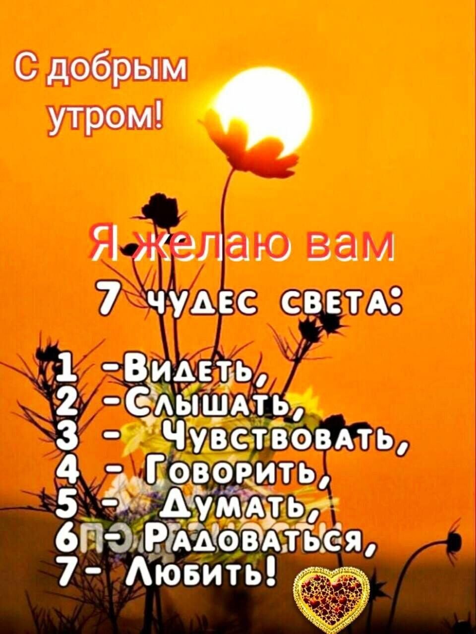 7 Чудес света видеть слышать чувствовать