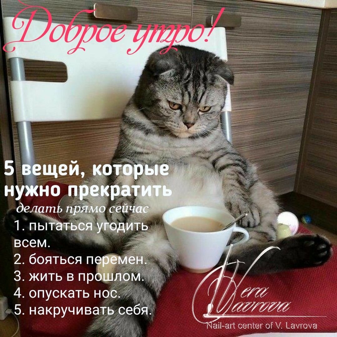 Мудрые пожелания с добрым утром