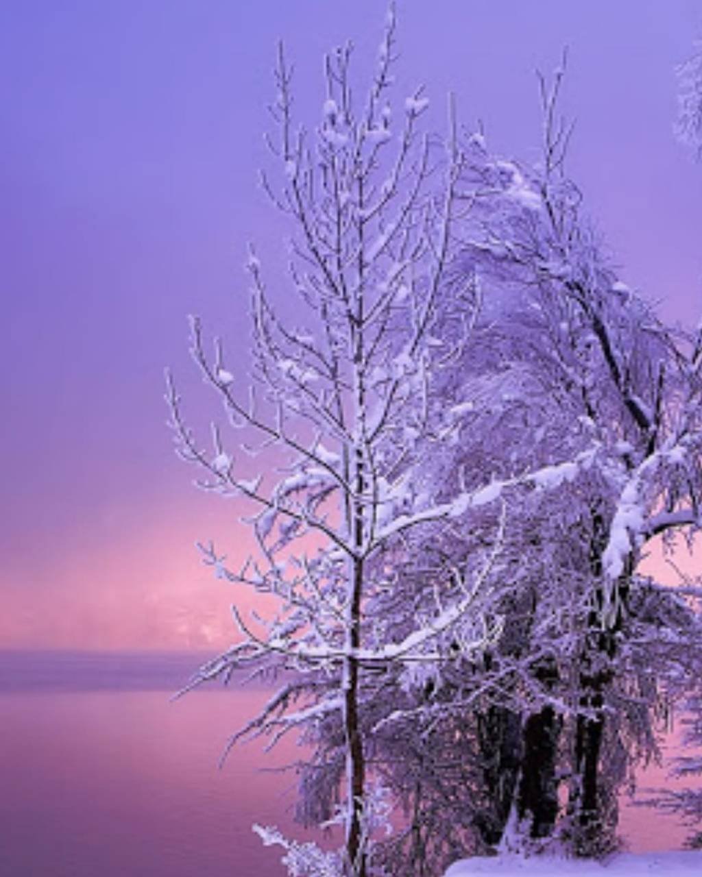 Лапландия Финляндия Северное сияние