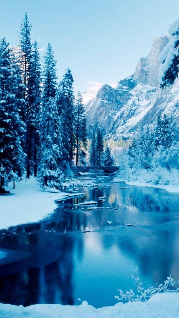 Сказочный зимний лес