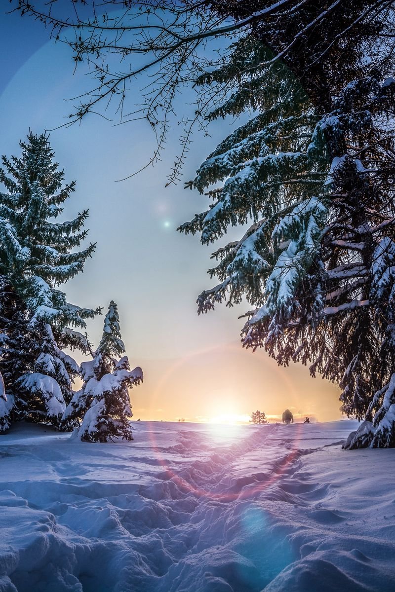 Зимний фон для фотошопа