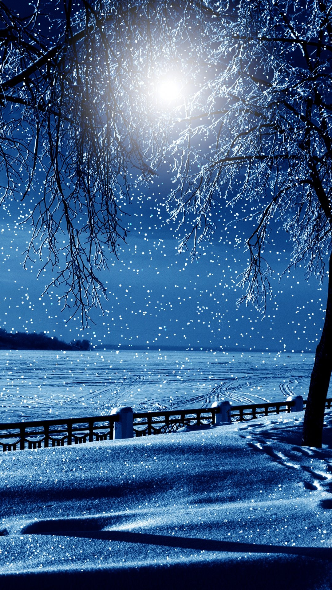 Зима в лесу