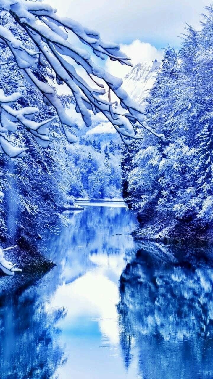 Зимняя ночь