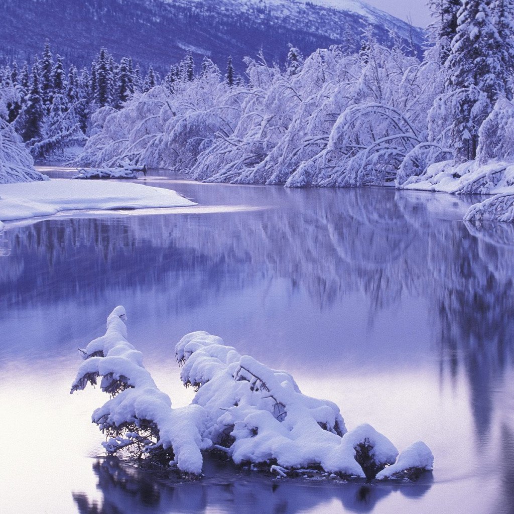 Зимний вечер