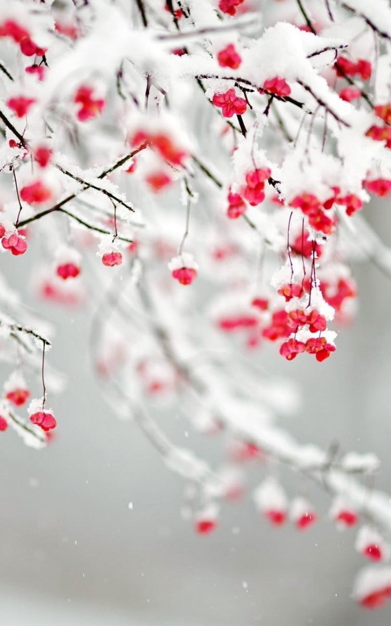 Зима солнце