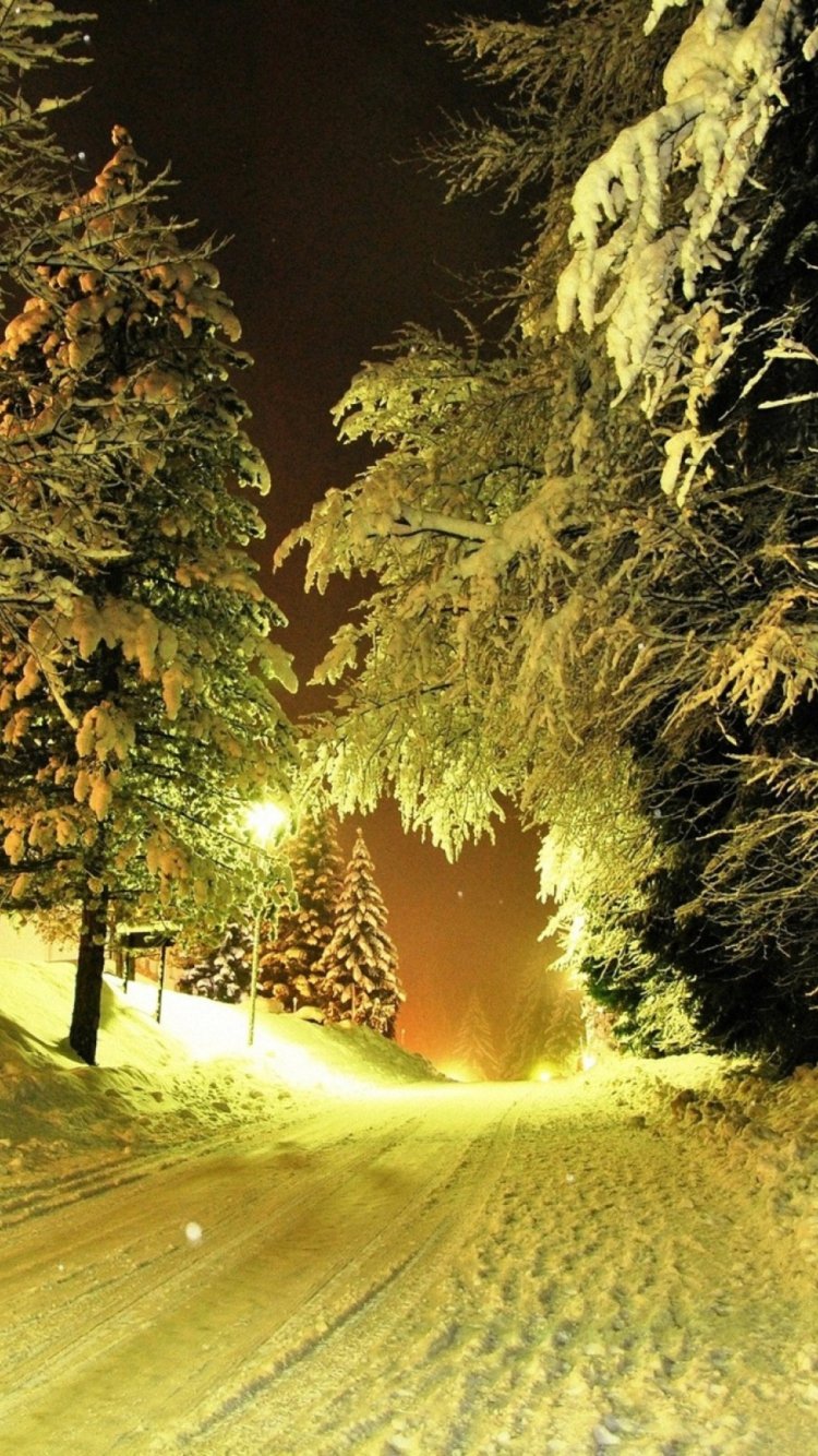 Зима вертикально