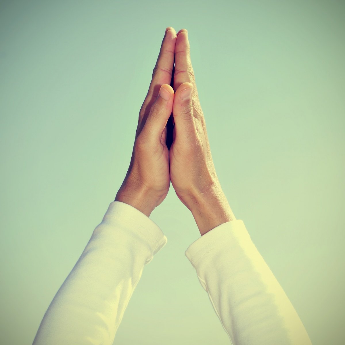 Сложенные ладони в мольбе